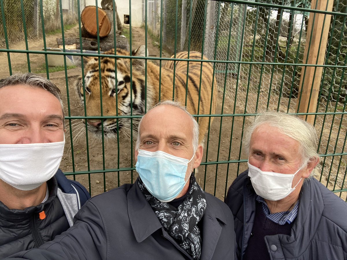 LoicDombreval's tweet photo. Le refuge Tonga Terre d’Accueil réalise une magnifique mission de service public : depuis 2008 il a sauvé de la mort près de 400 animaux sauvages abandonnés, maltraités. Nous avons besoin de ces sanctuaires. J’adresse un courrier à Barbara Pompili pour le soutenir financièrement. https://t.co/SpJ4rHH8K6