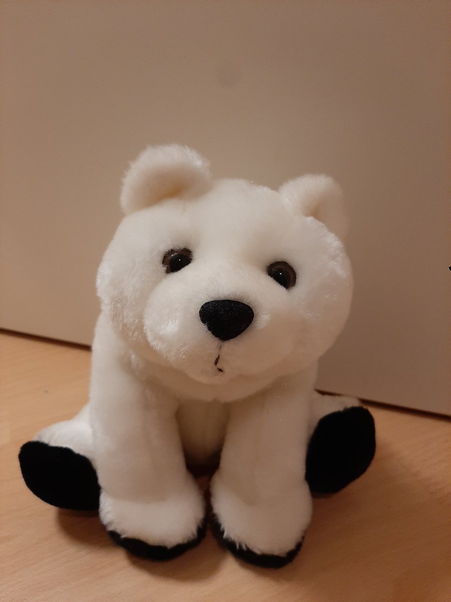 Mini_Granger's tweet image. Uiii ich hab eine @Micho_Patzi bei mir gefunden 👀🥺💕