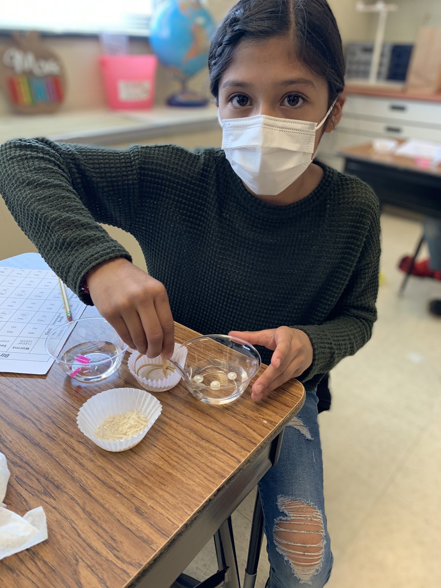 You never know what you will see when you visit <a href="/julia_amdy/">Julia Amdy</a> class! Today students were experimenting with different beak structures as part of their discussion on adaptations for survival!