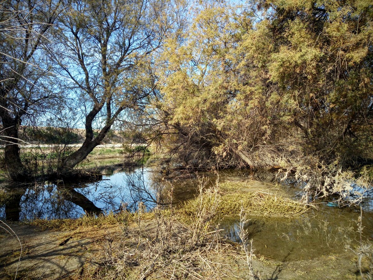 6c27a08e61744ae's tweet photo. En el #DiaMundialDelAgua reivindiquemos la puesta en valor y recuperación del #vinalopó, su ecosistema e infraestructuras q enriquecen, tan maltratado x nuestros pueblos. Protejamos nuestro patrimonio del agua @dipuAlicante @ajuntamentelx #altvinalopo #vinalopomitja #baixvinalopo https://t.co/BiaAe9DUtB