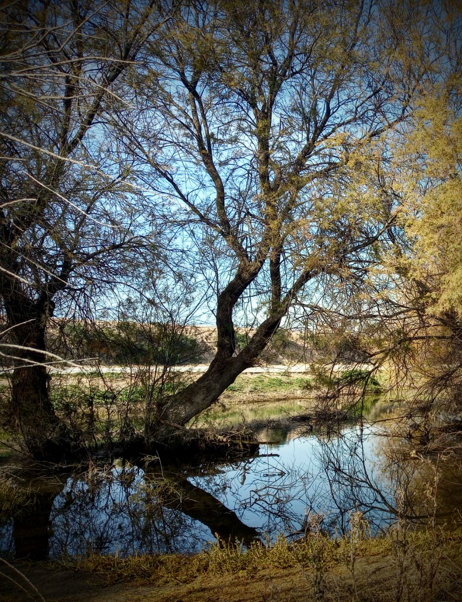 6c27a08e61744ae's tweet photo. En el #DiaMundialDelAgua reivindiquemos la puesta en valor y recuperación del #vinalopó, su ecosistema e infraestructuras q enriquecen, tan maltratado x nuestros pueblos. Protejamos nuestro patrimonio del agua @dipuAlicante @ajuntamentelx #altvinalopo #vinalopomitja #baixvinalopo https://t.co/BiaAe9DUtB