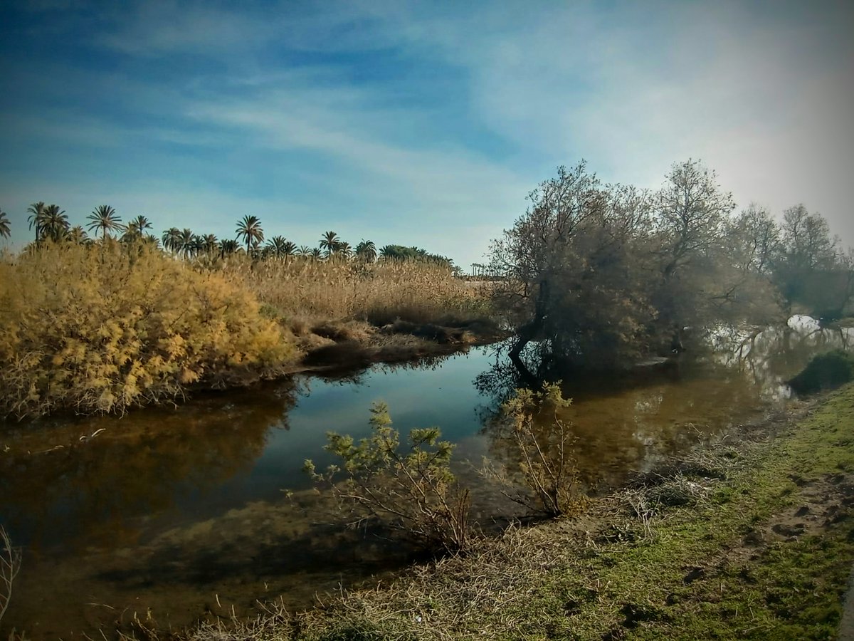 6c27a08e61744ae's tweet photo. En el #DiaMundialDelAgua reivindiquemos la puesta en valor y recuperación del #vinalopó, su ecosistema e infraestructuras q enriquecen, tan maltratado x nuestros pueblos. Protejamos nuestro patrimonio del agua @dipuAlicante @ajuntamentelx #altvinalopo #vinalopomitja #baixvinalopo https://t.co/BiaAe9DUtB