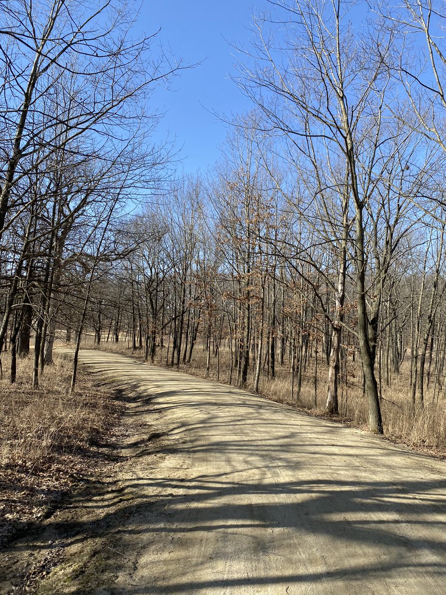 anujsri's tweet photo. Virtual #UnitedNYCHalf #thisrun done #teamTCS https://t.co/iTxKVqXbN6