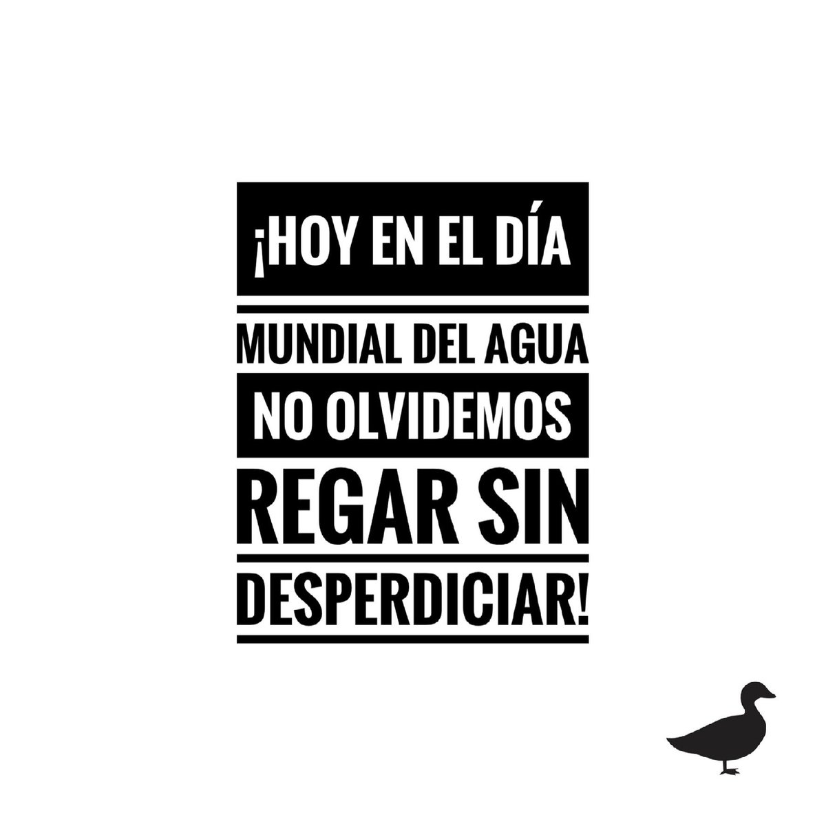 #DiaMundialDelAgua