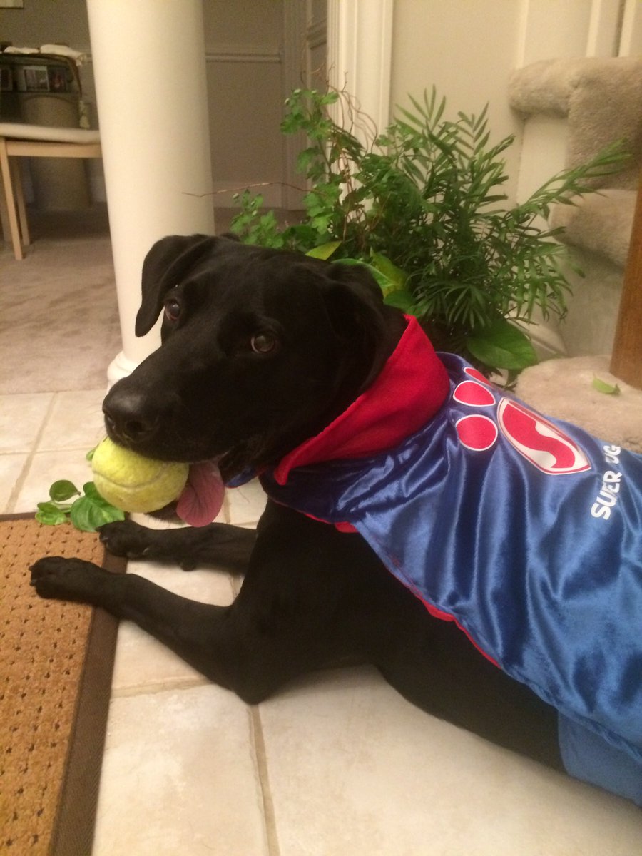 ncjackson1's tweet photo. @NWSL Annie’s Superdog excited to be part of the squad! https://t.co/PGkRA12ESi