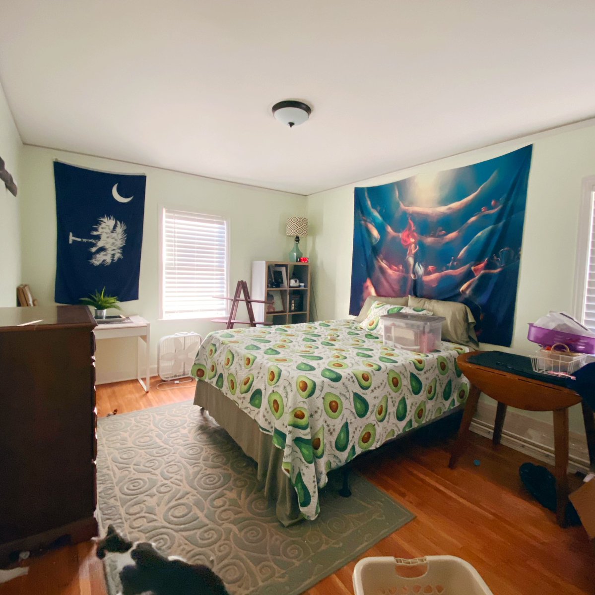 Jess Vandenberg tweet media