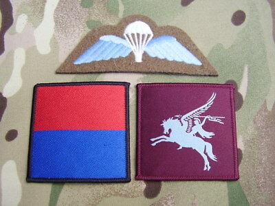 Last week the Wing said farewell to the Master Gunner, WO1 (MG) Challoner. 
He has helped face training during C-19 head on and will be sorely missed. A side step from RSA sees him assuming the prestigious role as Regimental Sergeant Major of <a href="/Airbornegunners/">7 Para RHA</a>. Best of luck.