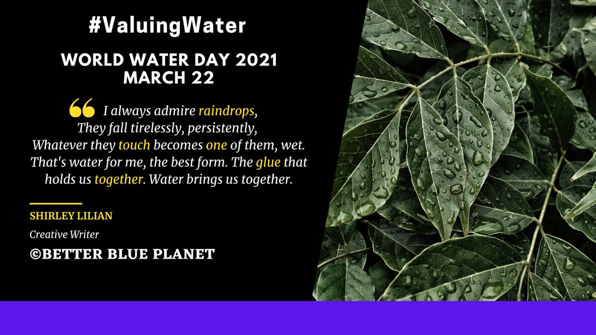 5/5 Without a comprehensive understanding of water's true value, we will not be able to safeguard it for the benefit of all. "Water is that element which brings us together" Shirley Lilian writes
#NationalWaterWeek
#WorldWaterDay 
#ValuingWater