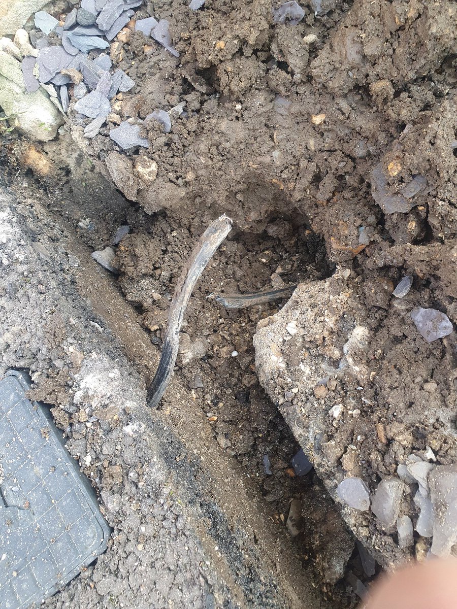 Wayne Scammell tweet media