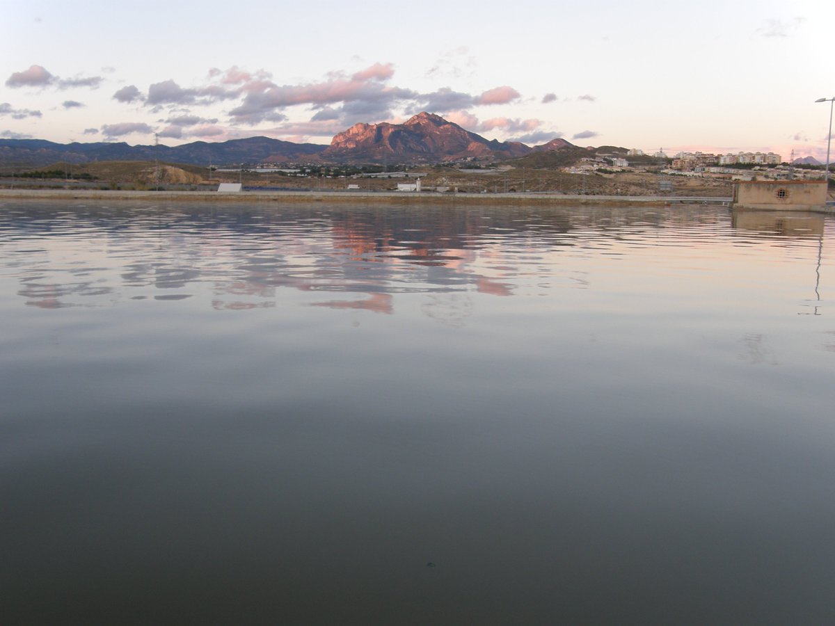 JorgePay1's tweet image. En el #Pantanet, se sitúa el partidor principal o mayor de la #HuertadeAlicante, actualmente protegido por la #casamata construida en 1872 y en cuyo interior se encuentran las compuertas que permiten regular la entrada de agua en la red de brazales de la huerta.
👉