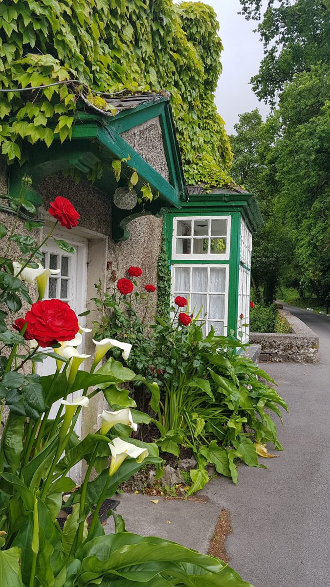 Ryans Riverlodge B&B tweet media