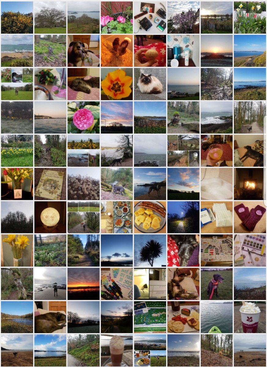 LucieGarland's tweet photo. #todayisaw 365 days of joyful moments... what a year it has been https://t.co/SLGOBeG6RC