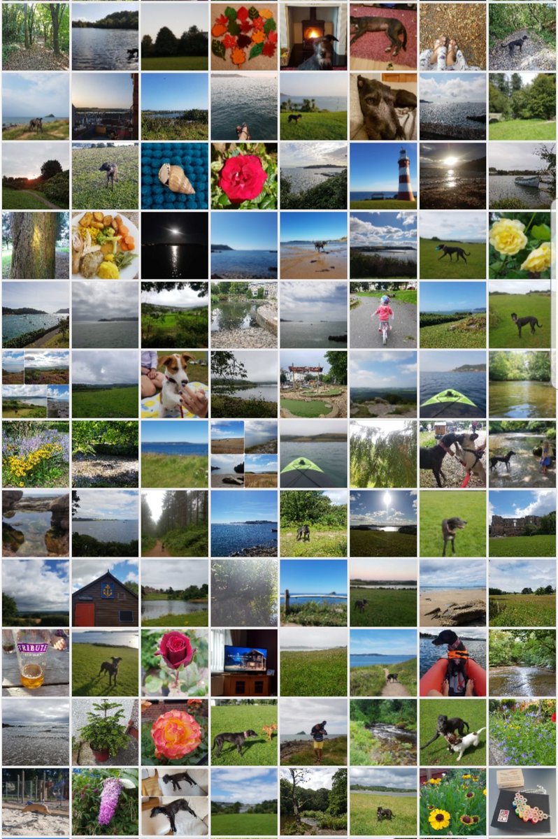 LucieGarland's tweet photo. #todayisaw 365 days of joyful moments... what a year it has been https://t.co/SLGOBeG6RC
