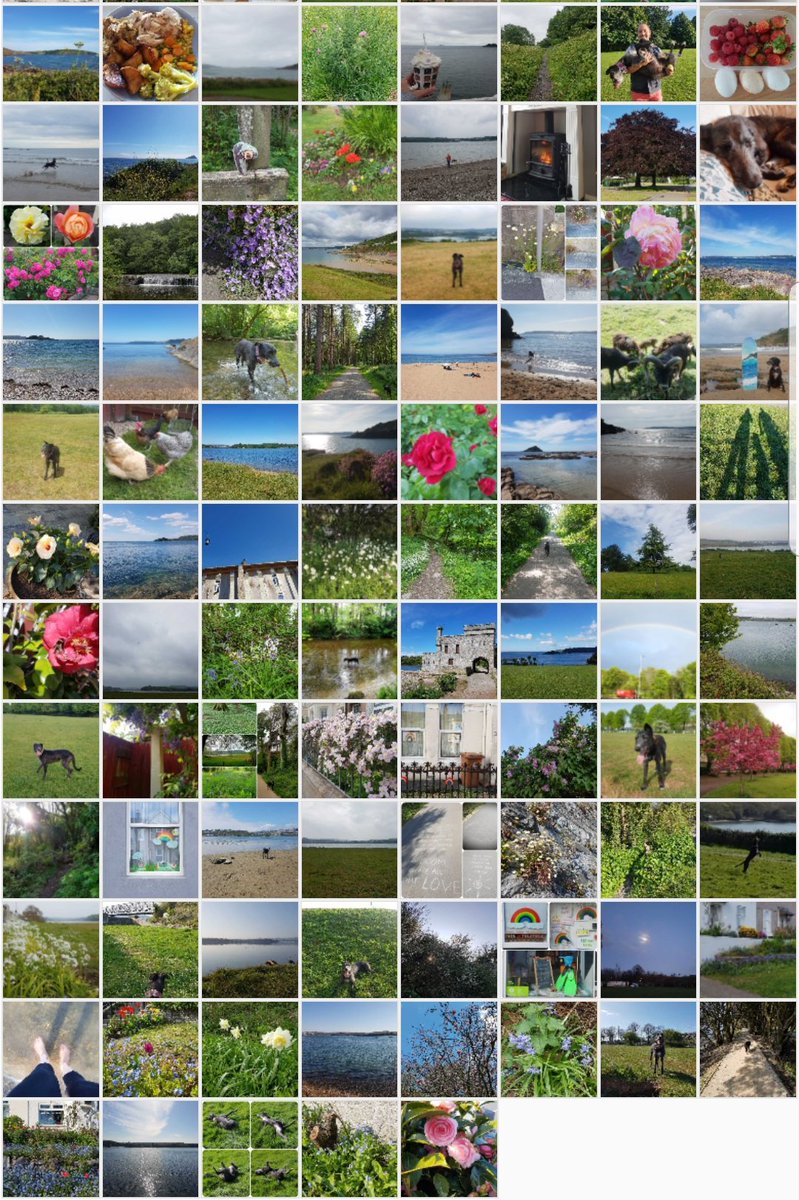 LucieGarland's tweet photo. #todayisaw 365 days of joyful moments... what a year it has been https://t.co/SLGOBeG6RC