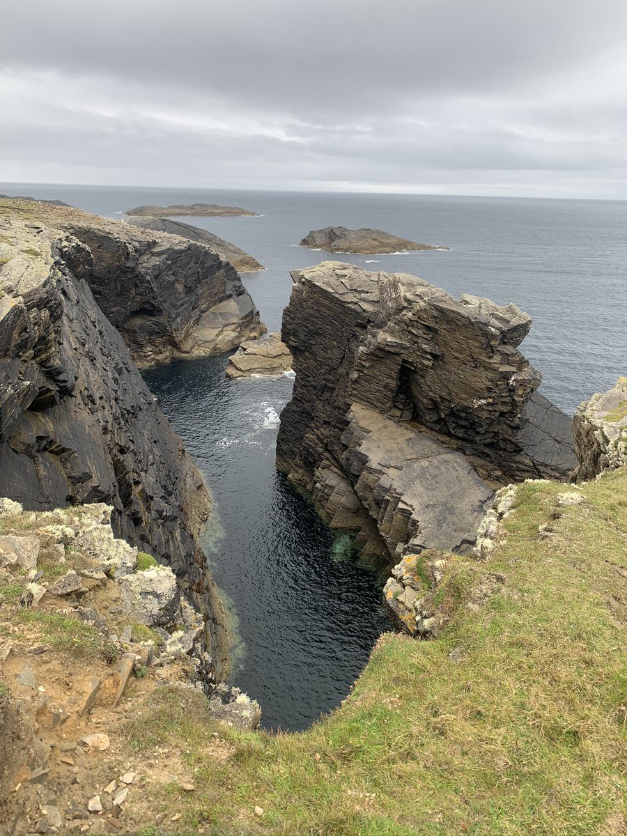 Joanne Morley tweet media