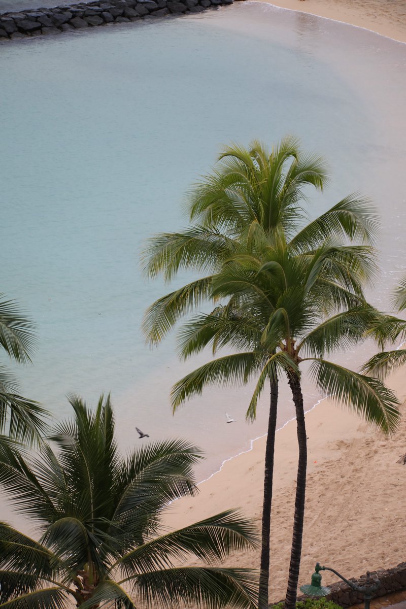 A view to rest upon from our premium ocean front lanais.
.
photo: @justbree