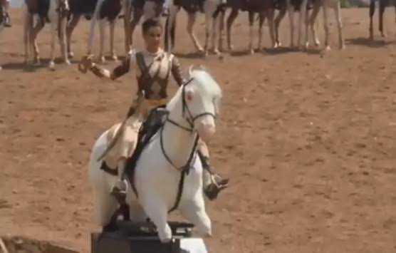 REJOYJOSEPH4's tweet photo. In that sense, this horse should have won the National award for "Best Supporting Actor". https://t.co/yMgI5STKub
