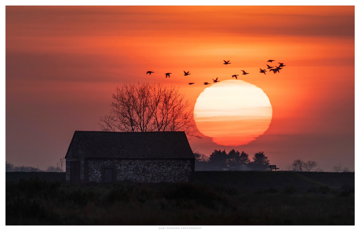 GPearsonJPEGs's tweet photo. The old coal barn in Thornham, Norfolk at sunset today. #sunsetphotography #Norfolk #Thornham #weatherpics #Angliapotw @ChrisPage90 @WeatherAisling @itvweather @AngliaWeather https://t.co/VaiGlNtC5p
