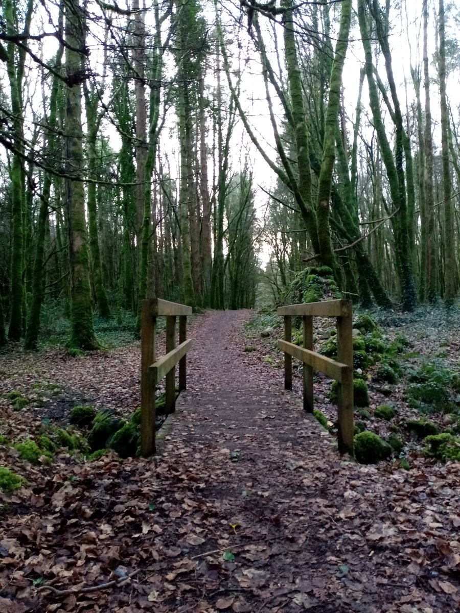 The Cong Gallery tweet media