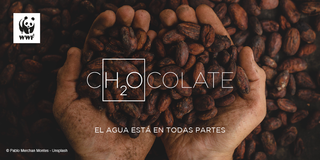 WWF_Peru's tweet photo. El agua es un recurso esencial para todos. Muchos de los productos que consumimos implican utilizar grandes cantidades de agua, por ejemplo, para fabricar un par de jeans se necesita 8.000 litros. 
#Ah2ora​ es el momento de actuar por el recurso más valioso del Planeta. https://t.co/sNRss9tBC3