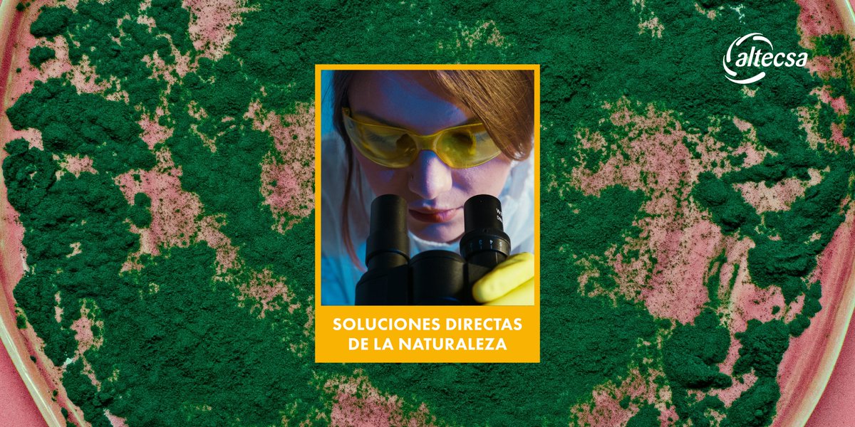 AltecsaIngred's tweet photo. La naturaleza tienen las soluciones; en #Altecsa tenemos la tecnología, equipo, científicos e innovación para reproducirlo y lograrlo a una #escalaindustrial y con los más altos estándares. #Colorantesnaturales, #enzimas, #nutrifuncionales y más; #lonaturalesnuestromejoraliado. https://t.co/Aj0TFmynXu