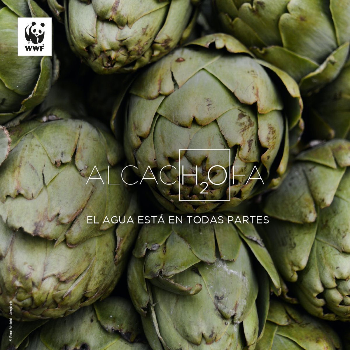 Pangealabco's tweet photo. @aqualia @iAgua Aunque no la veamos está en todas partes.#aH2Ora es el momento de actuar.💦
#DiaInternacionalDelAgua #diamundialdelagua #water2me #pangealab #wwfcolombia #wwf #DiaMundialDelAgua https://t.co/Cd0q2LU8rF