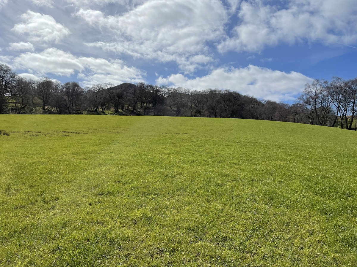 DafyddJonesBSc's tweet photo. AFC of mountain block at a healthy 1870kgDM/Ha. Soil temps surprised me a little! Ewes being released back to grass this week ready to lamb on the 5th of April. #grassgrowsgrass #quantityandquality #uplandfarming #outdoorlambing #sheep365 https://t.co/5W5jw5z4F3