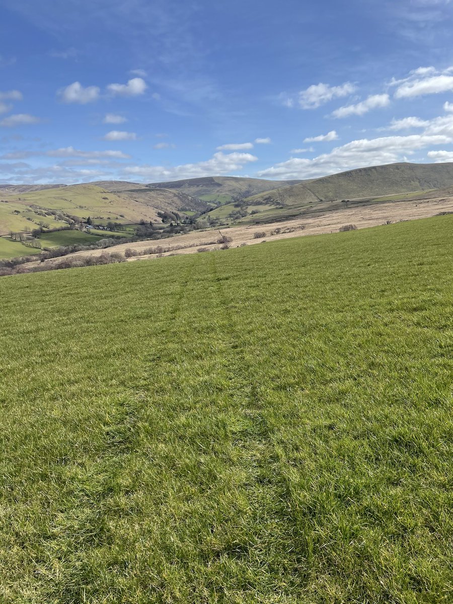 DafyddJonesBSc's tweet photo. AFC of mountain block at a healthy 1870kgDM/Ha. Soil temps surprised me a little! Ewes being released back to grass this week ready to lamb on the 5th of April. #grassgrowsgrass #quantityandquality #uplandfarming #outdoorlambing #sheep365 https://t.co/5W5jw5z4F3