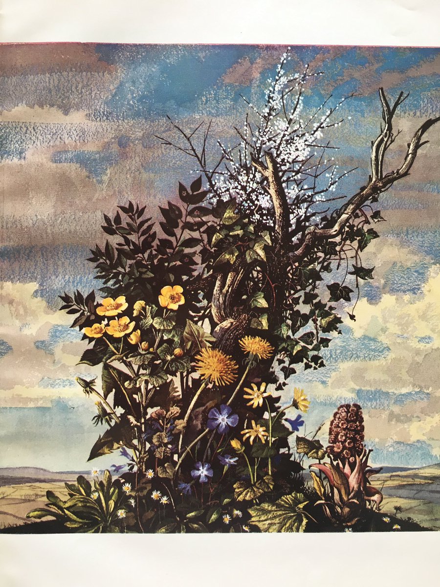 LBFlyawayhome's tweet photo. “March is specially the month of Blackthorn, the creamy buds and white flowers exquisite upon their twigs of ebony. It is the month also of daisies, opening their eyes among the grass (daisy does mean ‘day’s eye’)”
#EdithHilder #RowlandHilder #GeoffreyGrigson #ShellGuide https://t.co/NF9BRi6uY2