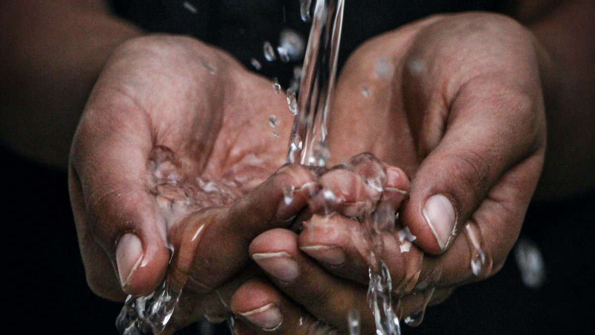 RainBirdCorp's tweet photo. It's #WorldWaterDay, and water is incredibly important to all of us at Rain Bird. We look to the #TheIntelligentUseOfWater to develop new, more water-efficient irrigation products. Let's all do our part to conserve this resource. https://t.co/6BAbVbannO. 
https://t.co/Ud8wjkzPdg https://t.co/A9BwrpmilJ