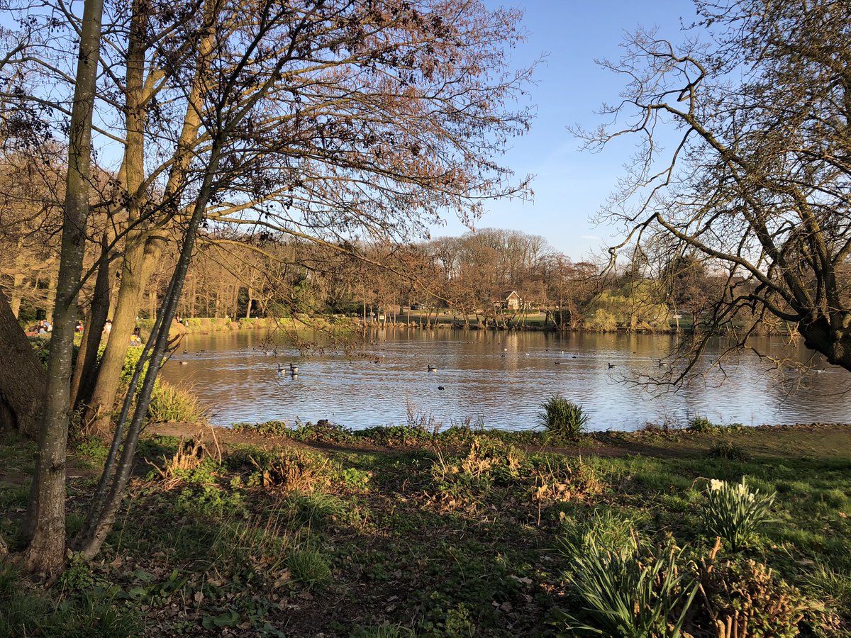 JonesAnnwen's tweet photo. One year on from lockdown, I miss terribly seeing my awesome @TargetOvarian colleagues in person. I can’t wait to see them again!!

It is no compensation but I do however prefer my end of day walk to the commute home #Grovelands https://t.co/OpOhgudNyH