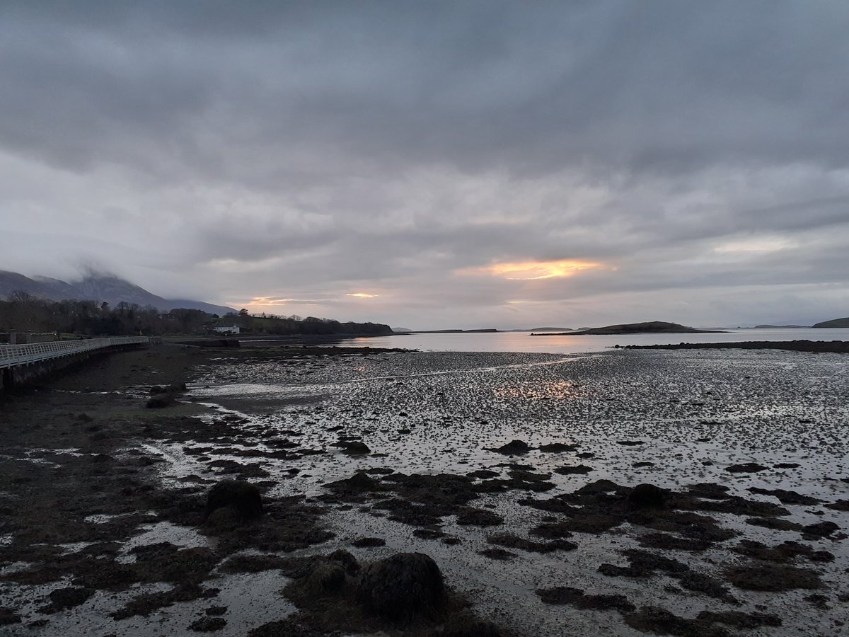 maria_mchale's tweet photo. @ailieirv @FiMor53 @toursarewest @MsMichelleRyan @LadysButtery @RiverLodge_Cong @MichelleMcLoug5 @MickeyGallMO I'm a west #Mayo gal ... hard not to be with views like these ... https://t.co/HI1b3UcPKW