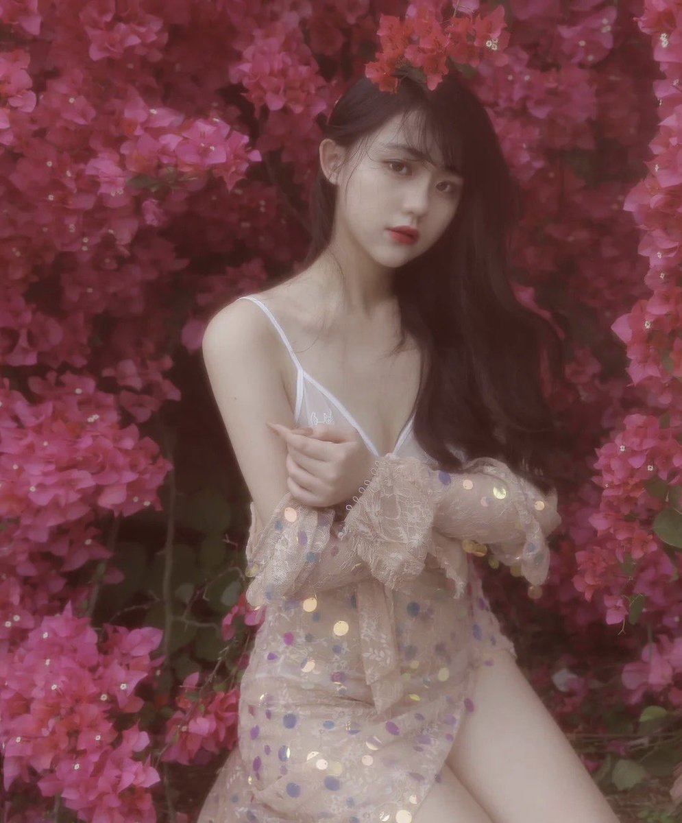 madingmomo's tweet photo. #厦门约拍   #厦门三角梅 https://t.co/QSK07EE11w