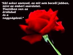 zákány orsolya (@napsugarorsika) on Twitter photo 