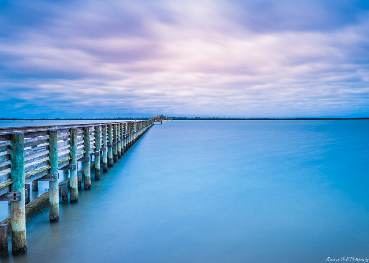 PaulFox13's tweet photo. Winter trolling us. Second full day of spring, second straight day of clouds and cool tempertures. 📷 Maureen Shell at Weaver Park in Dunedin #SpringFail https://t.co/dV7kshPF05