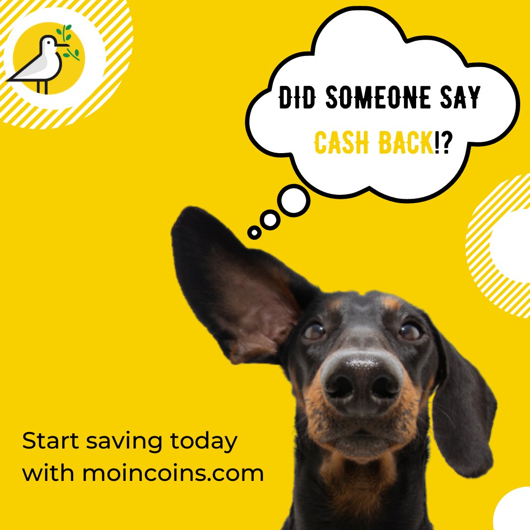 ShahabsGossip's tweet photo. #launch all the jokes about coding and project management were inspired by this site that my team created. It's not as funny as my Twitter, but check it out: https://t.co/9N1nEryQCF https://t.co/7m4xyxbJOw