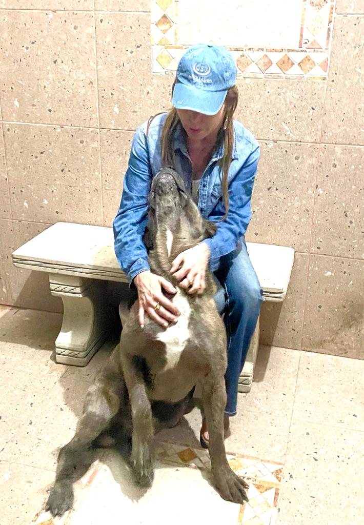 Sonríe y disfruta de cada momento que la vida te ofrece #BuenInicioDeSemana 😉