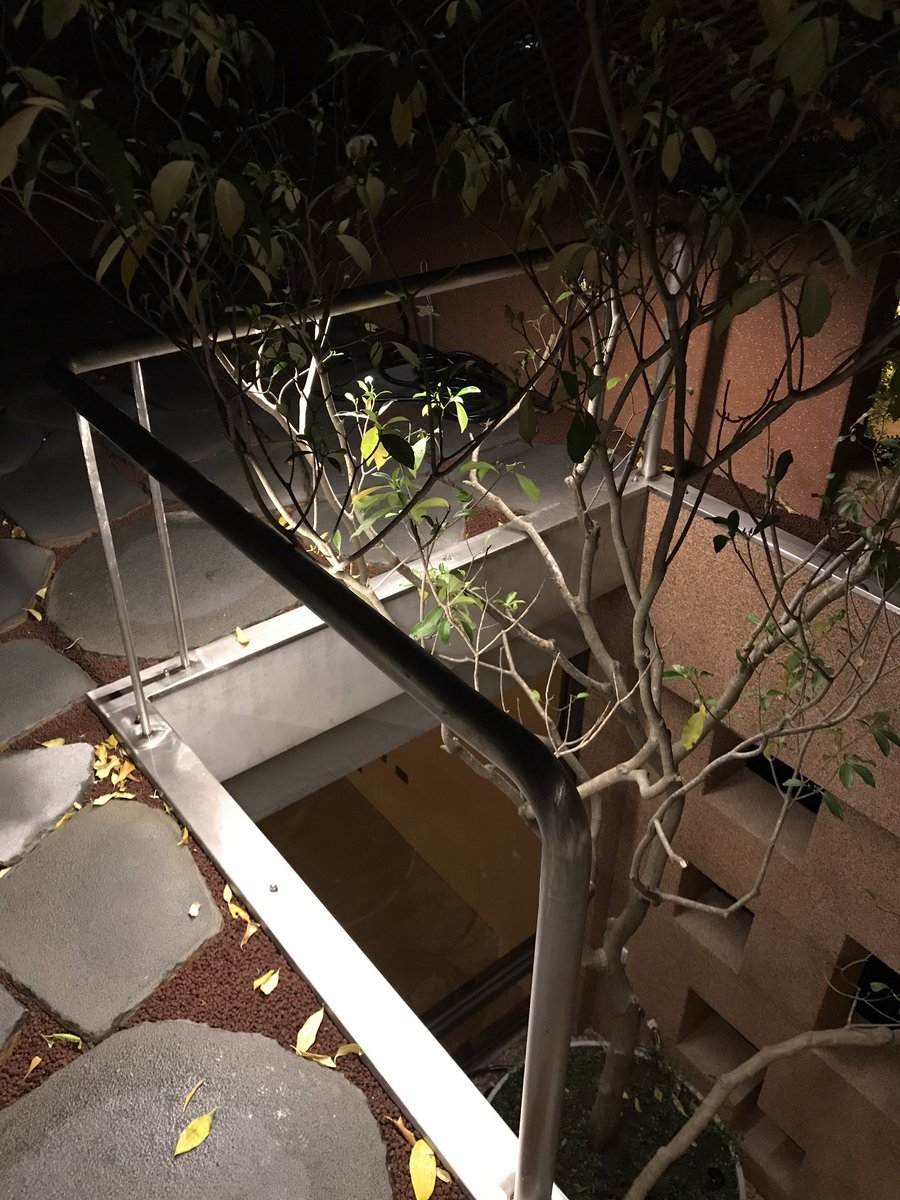 lpa0308's tweet image. 20210322–今晚在工地待的較晚，測試不同視角的光是否能夠滿足建築基本照明外，還能提供鄉村多一點光景！
Lightning test !
#lightingtest #nightscape #akygarden #studioapl #光景 #照明測試 #沒有光害的天空 #20度涼風的春晚 #力口建築