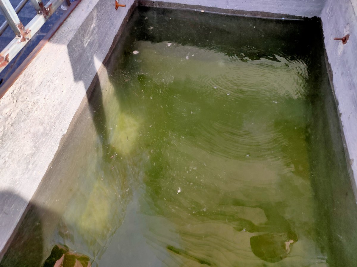 આજ રોજ જિલ્લા કક્ષાએ મેલેરિયા શાખા દ્વારા વાહકજન્ય રોગ અટકાયત માટે ઉપયોગી પોરાભક્ષક માછલીની હેચરીની શરૂઆત માન.મુખ્ય જિલ્લા આરોગ્ય અધિકારીશ્રી અને જિલ્લા મેલેરિયા અધિકારીના હસ્તે કરવામાં આવી <a href="/COLLECTORDWK/">Collector Devbhumi Dwarka</a> @ddodevbdwarka @info_dbd @GujHFWDept <a href="/nvbdcpmohfw/">nvbdcp-mohfw</a> <a href="/JpShivahare/">JP Shivahare</a> <a href="/NHMGujarat/">NHM Gujarat</a>