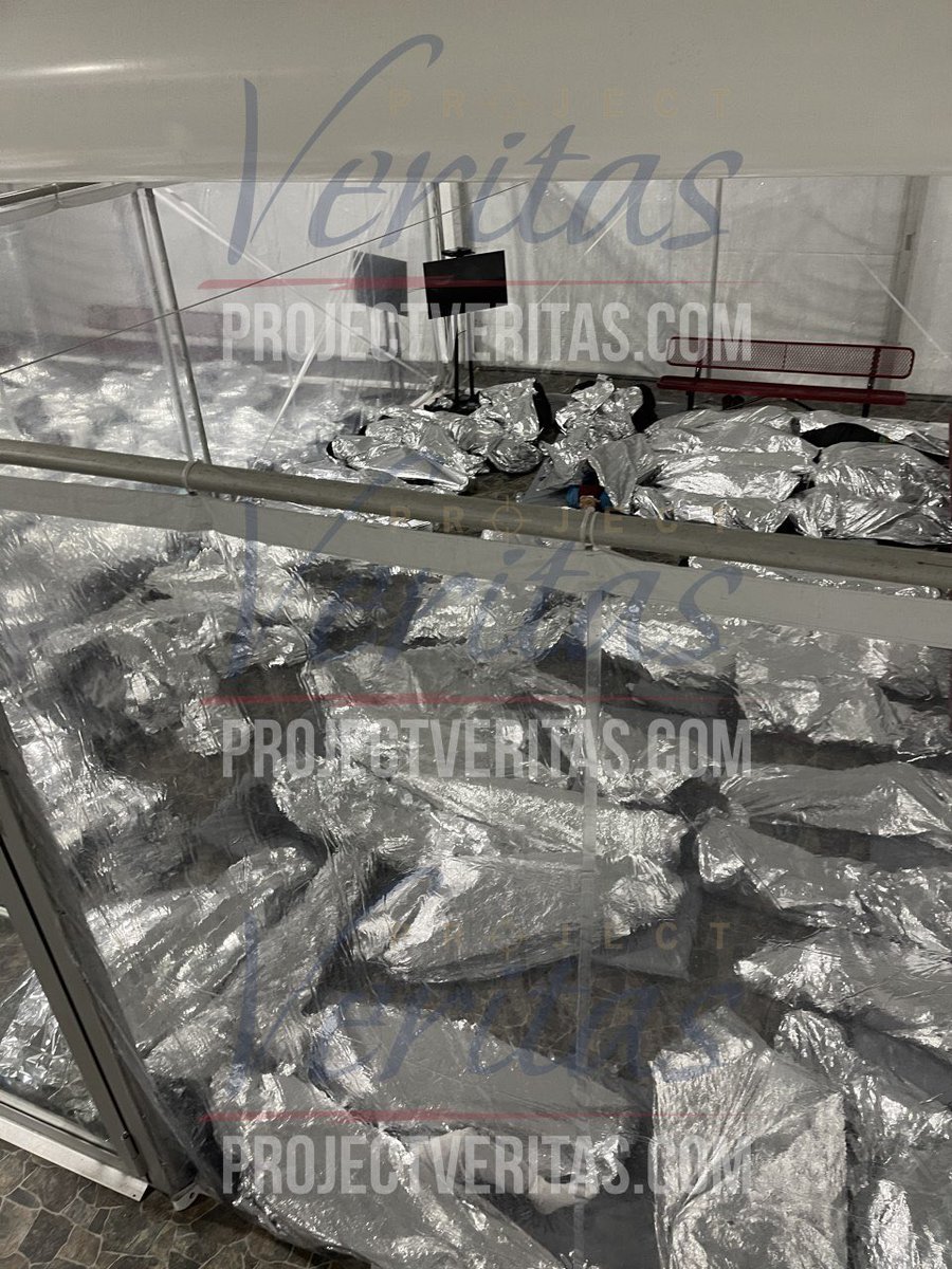 JamesOKeefeIII's tweet image. Dear @AOC. Do you feel the same now as you did when you dramatically knelt down crying by the fences for the camera?

Use these photos obtained by Project Veritas from an insider last week to work toward a solution rather than play the blame game.