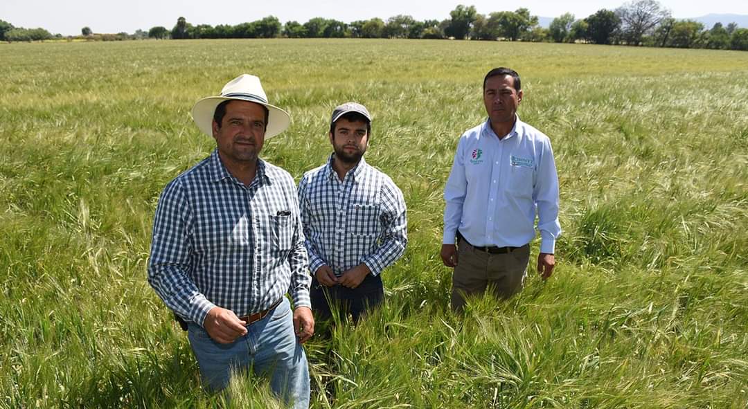 MasAgroGto's tweet photo. La disponibilidad del agua en el mundo es crítica. Desde la agricultura es posible cambiar el panorama. En el marco del #DiaMundialDelAgua se comparten resultados alentadores sobre el uso eficiente del agua con proyectos como Cultivando un México Mejor. https://t.co/on2cpuWSKo https://t.co/7UyAy7bpwQ
