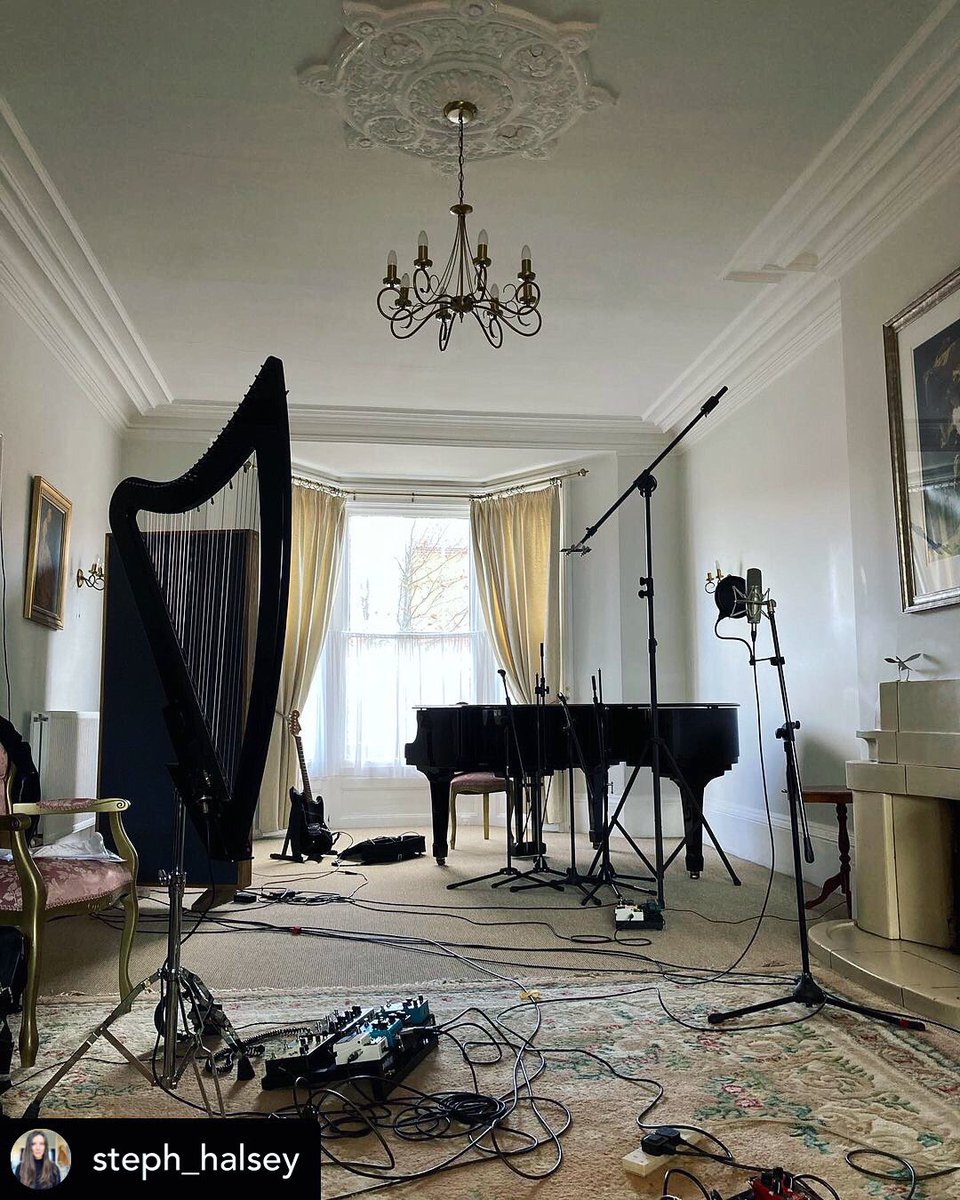 Harp time #harpist #harp