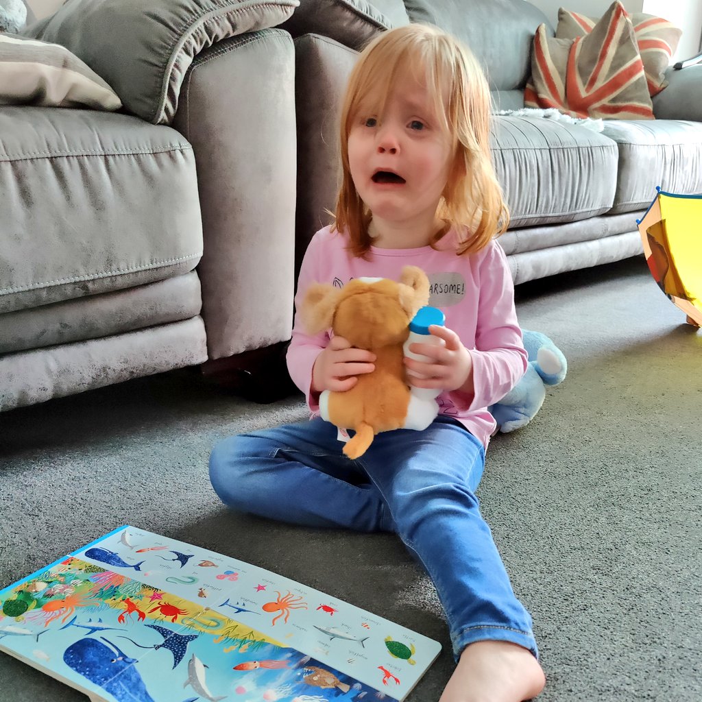 GirlGeekUpNorth's tweet photo. She asked for the animal book so I gave her the animal book #whymychildiscrying https://t.co/kSZ8SdSdWs