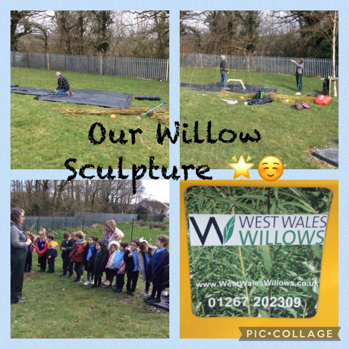 DafenSchool's tweet photo. 🌟🌿News🌿🌟 As part of our Lightbringers’ Project we have had a willow sculpture created in our outdoor learning area. We had fun watching Justine and Paul from West Wales Willows plant and create our sculpture 👷🏻👷🏼‍♂️🌱. Diolch yn fawr! @jaynemarciano @CarmsCouncil @andtheHare https://t.co/09PokCjVwR