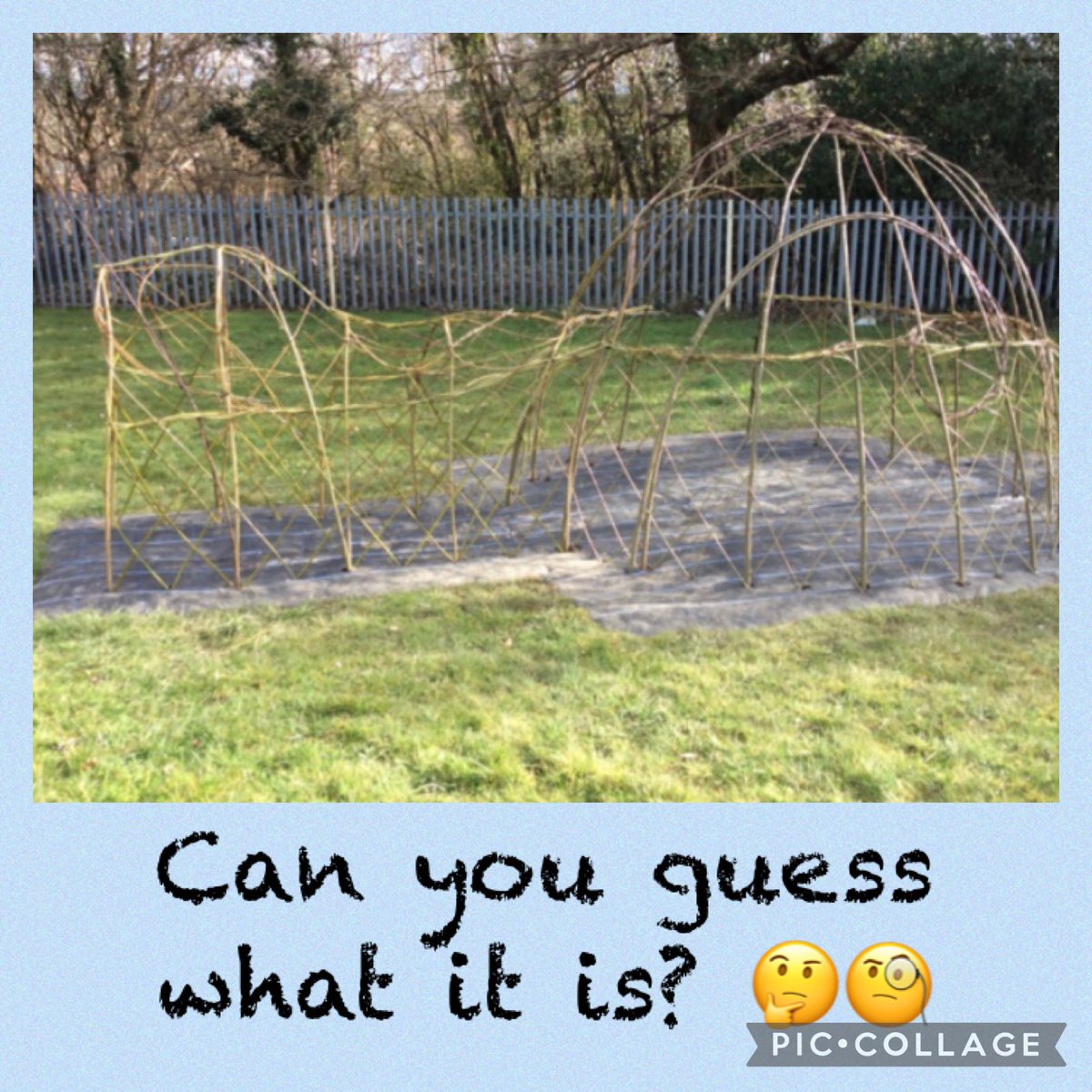 DafenSchool's tweet photo. 🌟🌿News🌿🌟 As part of our Lightbringers’ Project we have had a willow sculpture created in our outdoor learning area. We had fun watching Justine and Paul from West Wales Willows plant and create our sculpture 👷🏻👷🏼‍♂️🌱. Diolch yn fawr! @jaynemarciano @CarmsCouncil @andtheHare https://t.co/09PokCjVwR