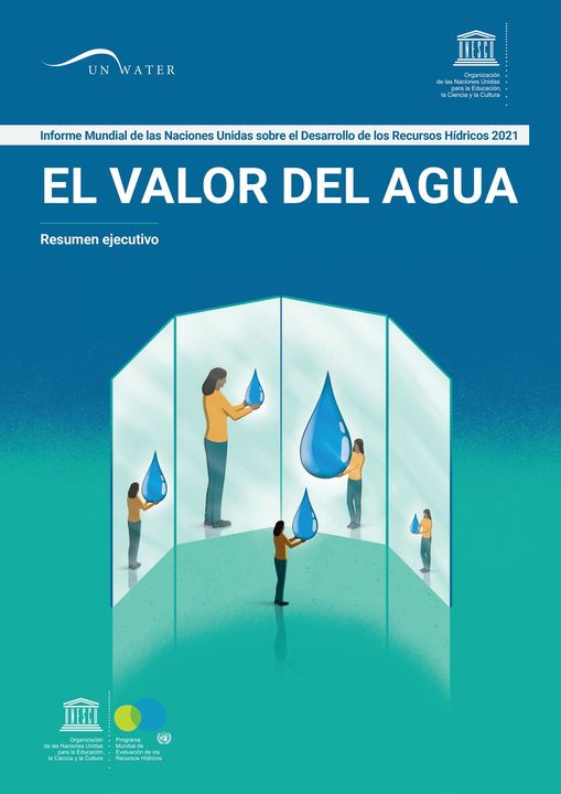 Informe sobre el Desarrollo de los Recursos Hídricos en el Mundo -El valor del agua💧