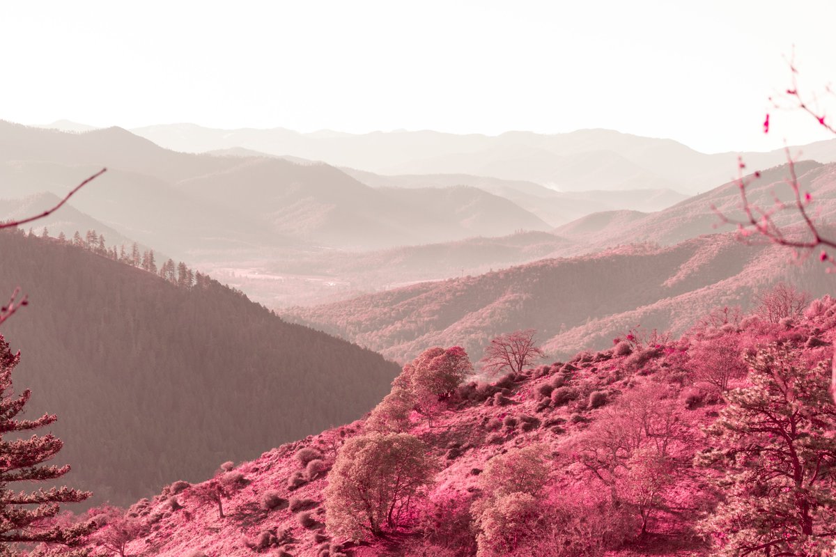 deletesean's tweet photo. Spring Dreams https://t.co/dXNurBxnPF