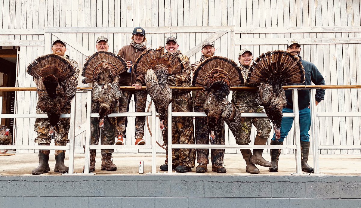 whoisdaniv's tweet photo. whatchu know bout them turkeys https://t.co/Ry5rUNsg46