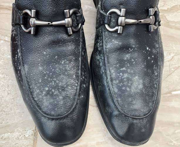 Nig_Farmer's tweet photo. #NaijaFarmerTips 
It's rainy season &amp; the time you see molds on shoes.

What do you do when you don't have Polish &amp; wants to eliminate the molds.

Rub the inner part of a BANANA PEEL on the Shoe &amp; clean with a dry cloth.

All molds / signs disappear &amp; your shoes shines ✨

RT 😊 https://t.co/AwiWsJc4Ip