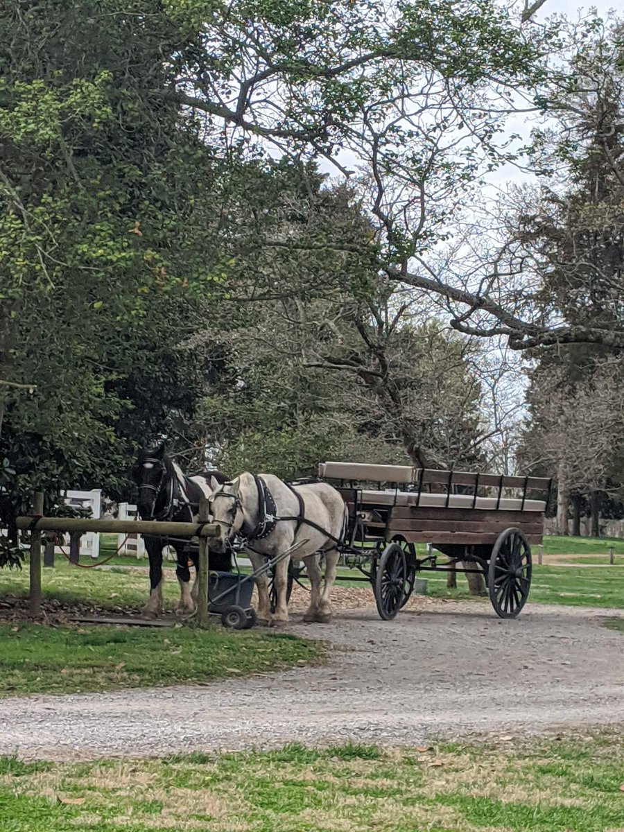 CRTT09's tweet photo. In Nashville for spring break?  Visit Andrew Jackson's Hermitage and take The Hermitage Enslaved wagon tour.  Dawn will tell about the people who lived beyond the mansion,Kohana n Sophie take you on a nostalgic wagon ride across the 1100 acres of Jackson's land. https://t.co/VBb6vYxApr